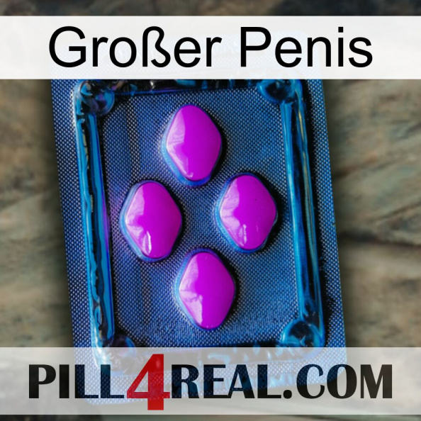 Großer Penis 04.jpg